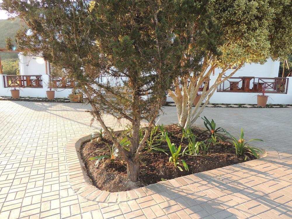 Nukakamma Guest House Colchester Exterior photo